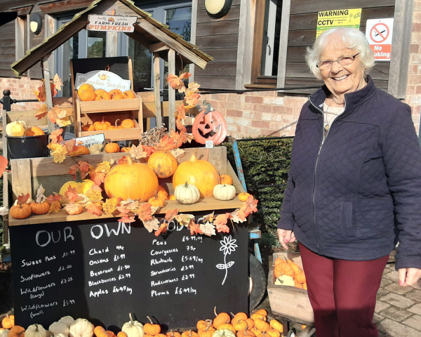 On a pumpkin mission to Cedarbarn!